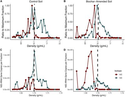 DNA-Stable Isotope Probing Shotgun Metagenomics Reveals the Resilience of Active Microbial Communities to Biochar Amendment in Oxisol Soil